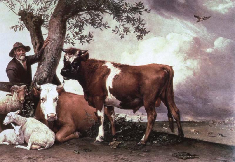 POTTER, Paulus the bull oil painting picture